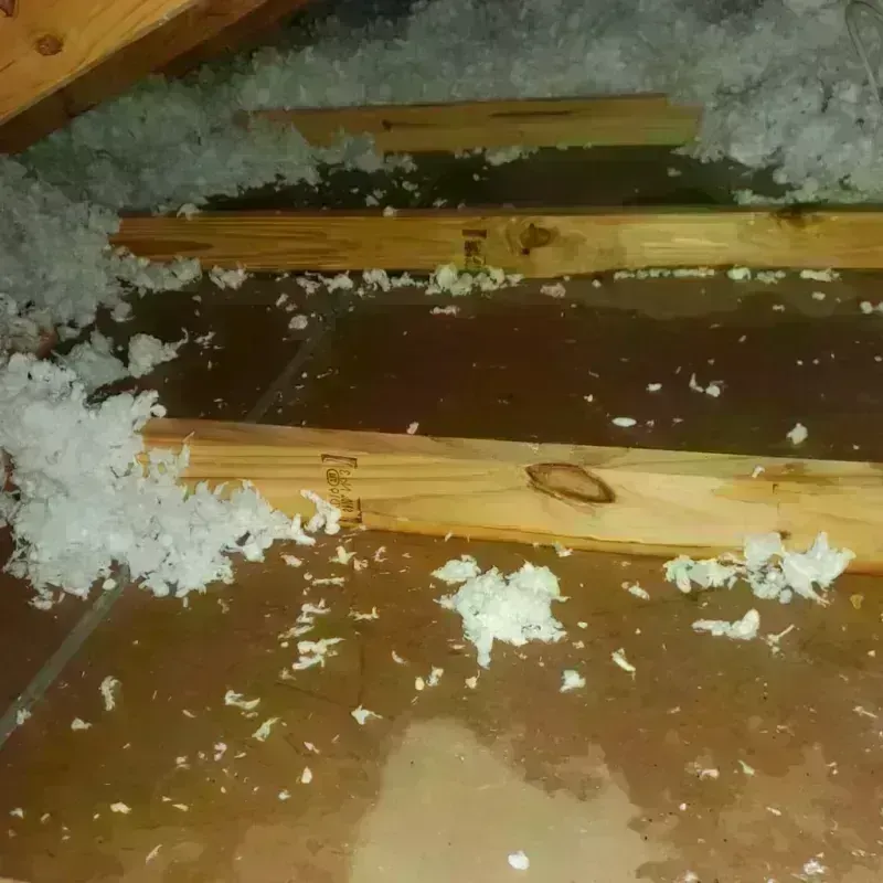 Attic Water Damage in Bloomfield, IA