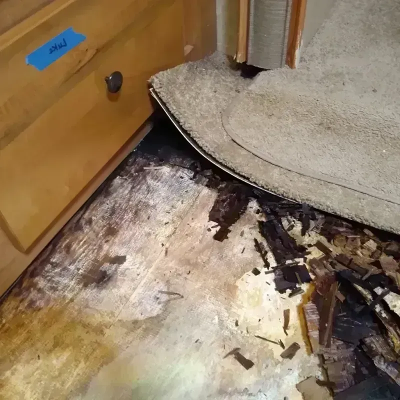 Wood Floor Water Damage in Bloomfield, IA